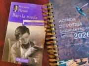 Poesía y la resistencia a la destrucción de la individualidad: reflexiones desde «Bajo la rueda»