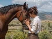 Los caballos, animales íntegros en habilidades