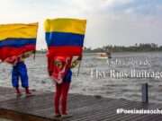 Vida y obra de Elsy Ríos Buitrago