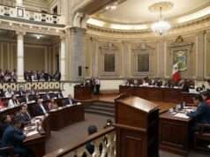 ¿Cuales son las funciones de un diputado local en México?
