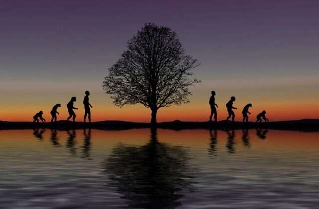 evolucion humana progreso