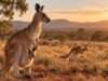 Los canguros: los marsupiales más grandes